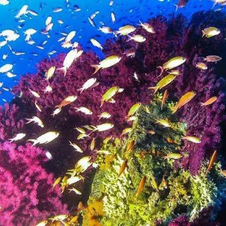 Da Laura E Sergio דירה *