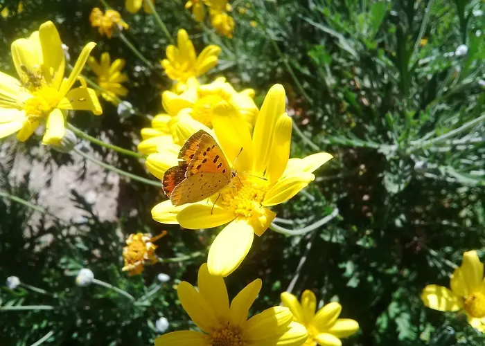 Apartamento Da Laura E Sergio Vezzi Portio