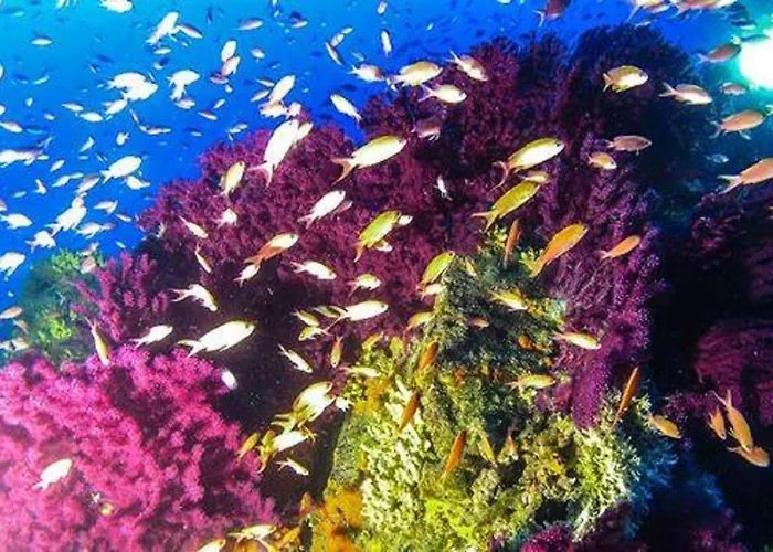 Da Laura E Sergio Apartamento *